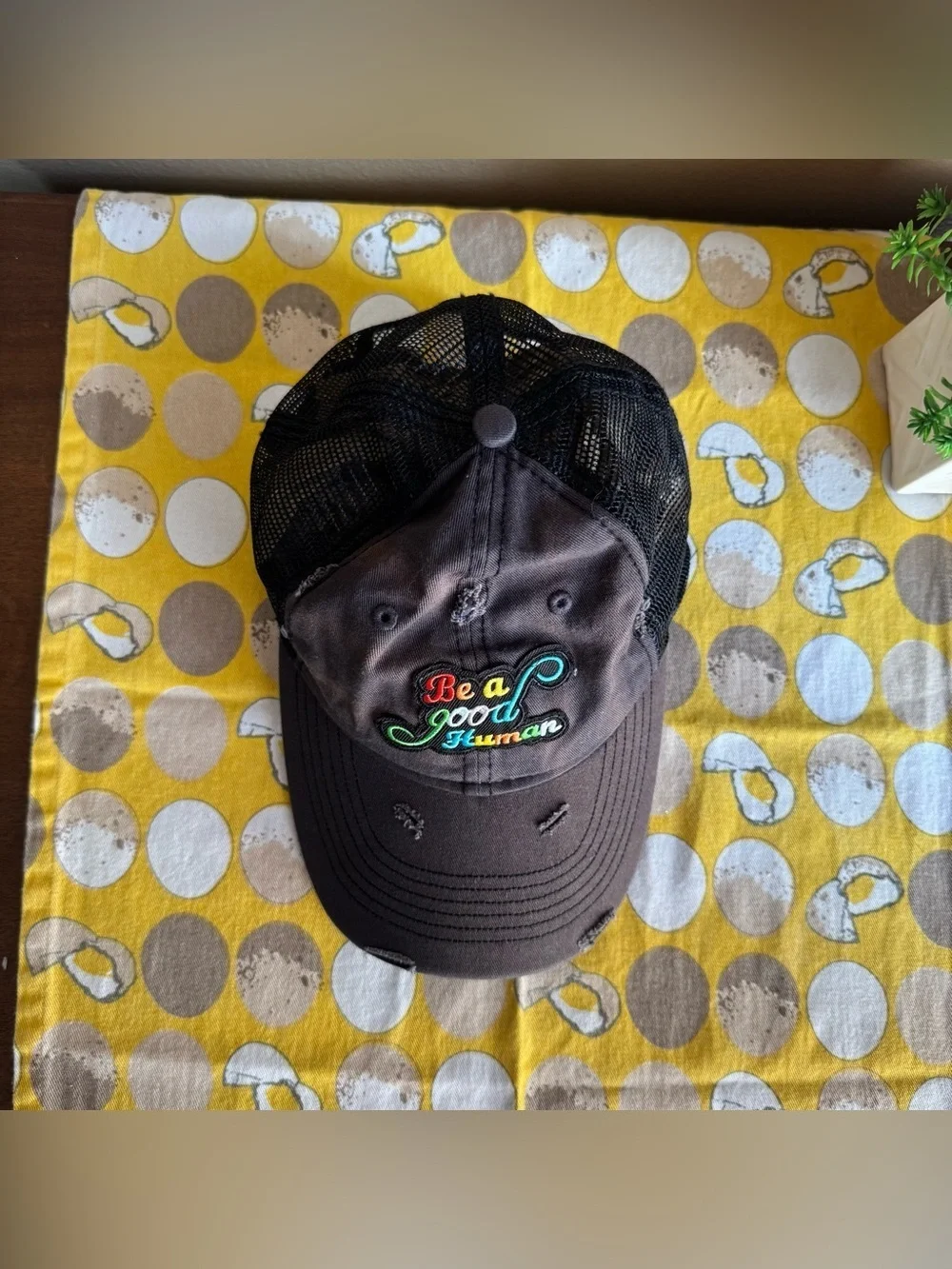Sportsman Be a Good Human distressed baseball hat